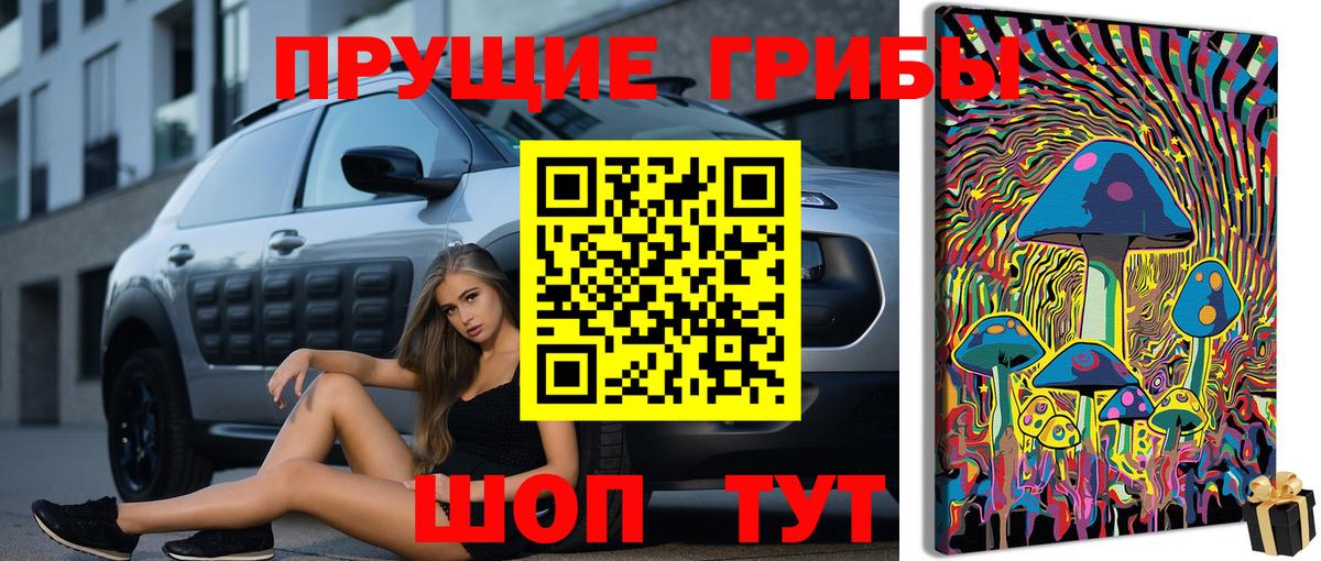Псилоцибиновые грибы GOLDEN TEACHER Фрязино