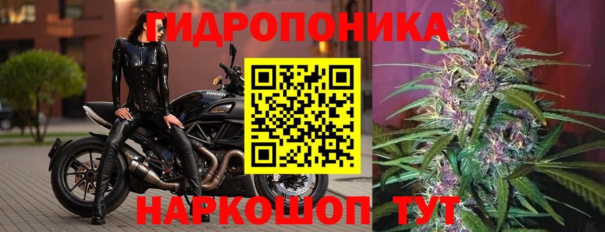 Шишки марихуана MAZAR  Бошки Шишки конопля  Вход с VPN  Канабис семена  Фрязино  МАРИХУАНА VHQ 